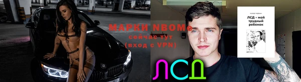mdpv Новодвинск