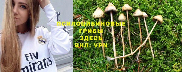 мефедрон Алексеевка