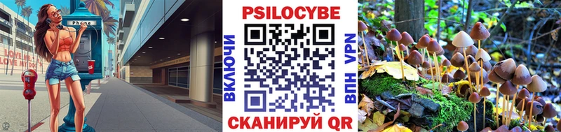 Псилоцибиновые грибы Psilocybine cubensis купить наркотик Тосно